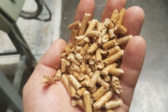 EN-Plus-A1-Biber-Pellet
