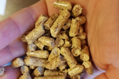 Biber Pellet